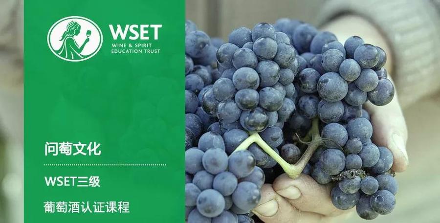 微信图片_20181009180515.jpg