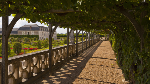 valley)在勃艮第一片连绵的山丘景色中,位于中心地带的金丘(cote d